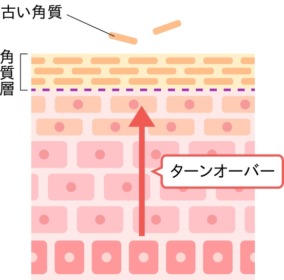 イビサクリームの悪評・効果なし